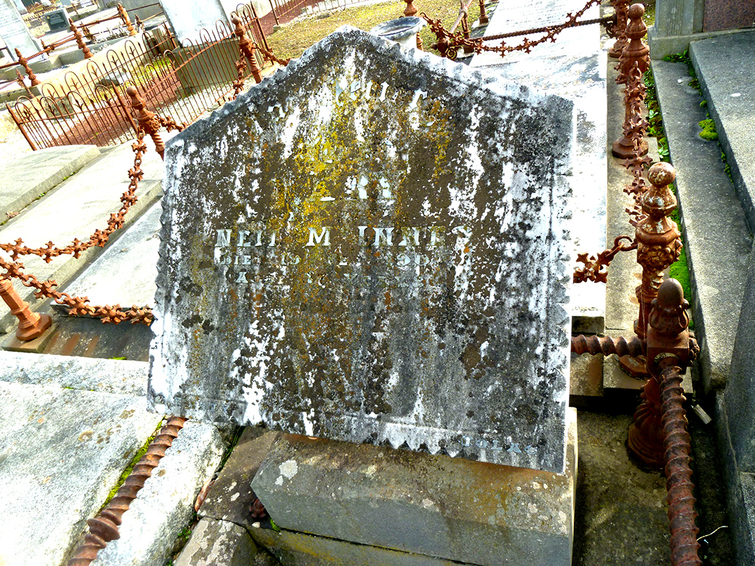 Photo of headstones/Mary McInnes nee McLennan d1901 hdstn Colac cem Vic